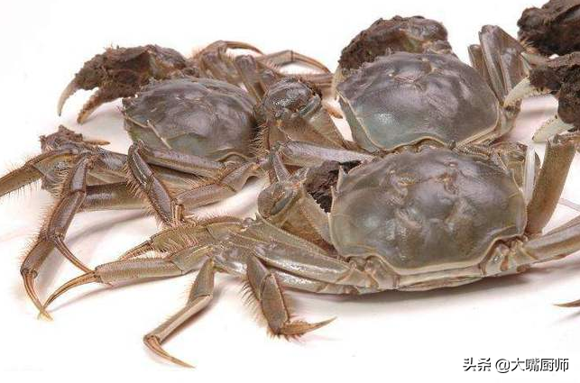 活螃蟹最忌直接放冰箱保存，和养殖户学一招，一周还鲜活，不掉肉